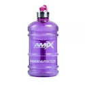 Barel Amix Nutrition  Water Bottle 2200 ml Purple