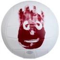 Beachvolleyball Mr. Wilson Cast Away