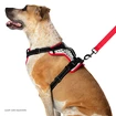 Canicross-Gurt Nathan  K9 Dog Harness