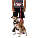 Canicrossgürtel Nathan  K9 Series Runner's Waistpack With Leash