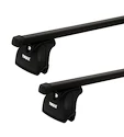 Dachträger Thule mit SquareBar Chrysler Grand Caravan 5-T MPV T-Profil 04-07