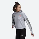 Damen Hoodie adidas  Space Hoodie Halo Silver