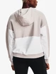 Damen Hoodie Under Armour
