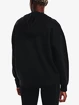 Damen Hoodie Under Armour