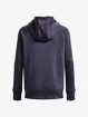 Damen Hoodie Under Armour