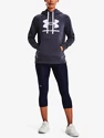 Damen Hoodie Under Armour