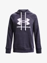 Damen Hoodie Under Armour