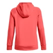 Damen Hoodie Under Armour  Rival Fleece Logo Hoodie Miami