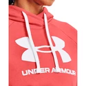 Damen Hoodie Under Armour  Rival Fleece Logo Hoodie Miami