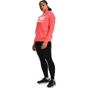 Damen Hoodie Under Armour  Rival Fleece Logo Hoodie Miami