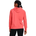 Damen Hoodie Under Armour  Rival Fleece Logo Hoodie Miami