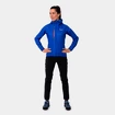 Damen Jacke  Salewa  Puez Light PTX Electric
