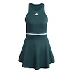 Damen Kleid adidas  Tennis Climacool Y-Dress Aurora Ivy