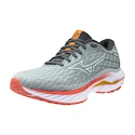 Damen Laufschuhe Mizuno  Wave Inspire 20 Gray Mist/White/Dubarry