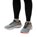 Damen Laufschuhe Mizuno  Wave Inspire 20 Gray Mist/White/Dubarry