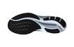 Damen Laufschuhe Mizuno  Wave Rider 27 D Ebony/Snowcrest/Black