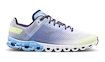 Damen Laufschuhe On  Cloudflow Nimbus/Seedling