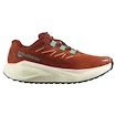 Damen Laufschuhe Salomon Aero Blaze 3 GRVL Burnt Ochre/Vanilla Ice/Vanilla Ice