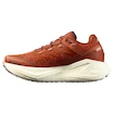 Damen Laufschuhe Salomon Aero Glide 3 GRVL Burnt Ochre/Vanilla Ice/Etherea