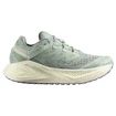 Damen Laufschuhe Salomon Aero Glide 3 GRVL Sea Foam/Vanilla Ice/Nirvana