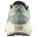 Damen Laufschuhe Salomon Aero Glide 3 GRVL Sea Foam/Vanilla Ice/Nirvana