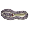 Damen Laufschuhe Salomon Aero Glide 3 GRVL Sea Foam/Vanilla Ice/Nirvana
