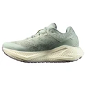 Damen Laufschuhe Salomon Aero Glide 3 GRVL Sea Foam/Vanilla Ice/Nirvana