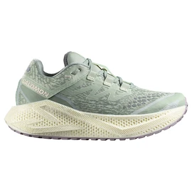 Damen Laufschuhe Salomon Aero Glide 3 GRVL Sea Foam/Vanilla Ice/Nirvana