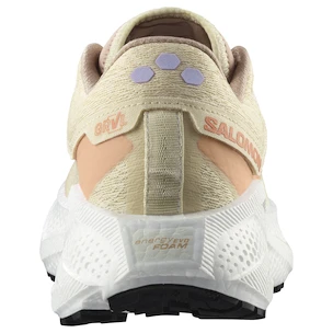 Damen Laufschuhe Salomon Aero Glide 3 GRVL Shortbread/White/Fusion Coral