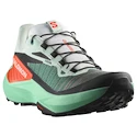 Damen Laufschuhe Salomon Genesis Bay/Electric Green/Cherry Tomato