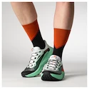 Damen Laufschuhe Salomon Genesis Bay/Electric Green/Cherry Tomato