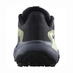Damen Laufschuhe Salomon Genesis W Carbon/Grisaille/Aloe Wash