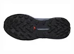 Damen Laufschuhe Salomon Genesis W Carbon/Grisaille/Aloe Wash