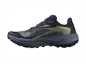 Damen Laufschuhe Salomon Genesis W Carbon/Grisaille/Aloe Wash