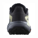 Damen Laufschuhe Salomon Genesis W Carbon/Grisaille/Aloe Wash