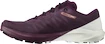 Damen Laufschuhe Salomon Sense 4  PRO W Plum Caspia