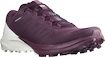 Damen Laufschuhe Salomon Sense 4  PRO W Plum Caspia