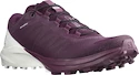 Damen Laufschuhe Salomon Sense 4  PRO W Plum Caspia