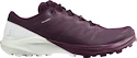 Damen Laufschuhe Salomon Sense 4  PRO W Plum Caspia