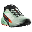 Damen Laufschuhe Salomon Sense Ride 5 Bay/Black/Cherry Tomato