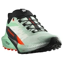 Damen Laufschuhe Salomon Sense Ride 5 Bay/Black/Cherry Tomato