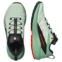 Damen Laufschuhe Salomon Sense Ride 5 Bay/Black/Cherry Tomato