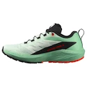 Damen Laufschuhe Salomon Sense Ride 5 Bay/Black/Cherry Tomato