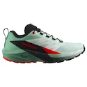 Damen Laufschuhe Salomon Sense Ride 5 Bay/Black/Cherry Tomato