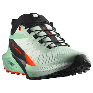 Damen Laufschuhe Salomon Sense Ride 5 Bay/Black/Cherry Tomato