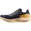 Damen Laufschuhe Salomon Spectur Ebony/Almond Cream