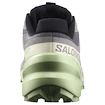 Damen Laufschuhe Salomon Speedcross 6 Castlerock/Vanilla Ice/Smoke Green