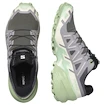 Damen Laufschuhe Salomon Speedcross 6 Castlerock/Vanilla Ice/Smoke Green