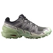 Damen Laufschuhe Salomon Speedcross 6 Castlerock/Vanilla Ice/Smoke Green