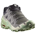 Damen Laufschuhe Salomon Speedcross 6 Castlerock/Vanilla Ice/Smoke Green